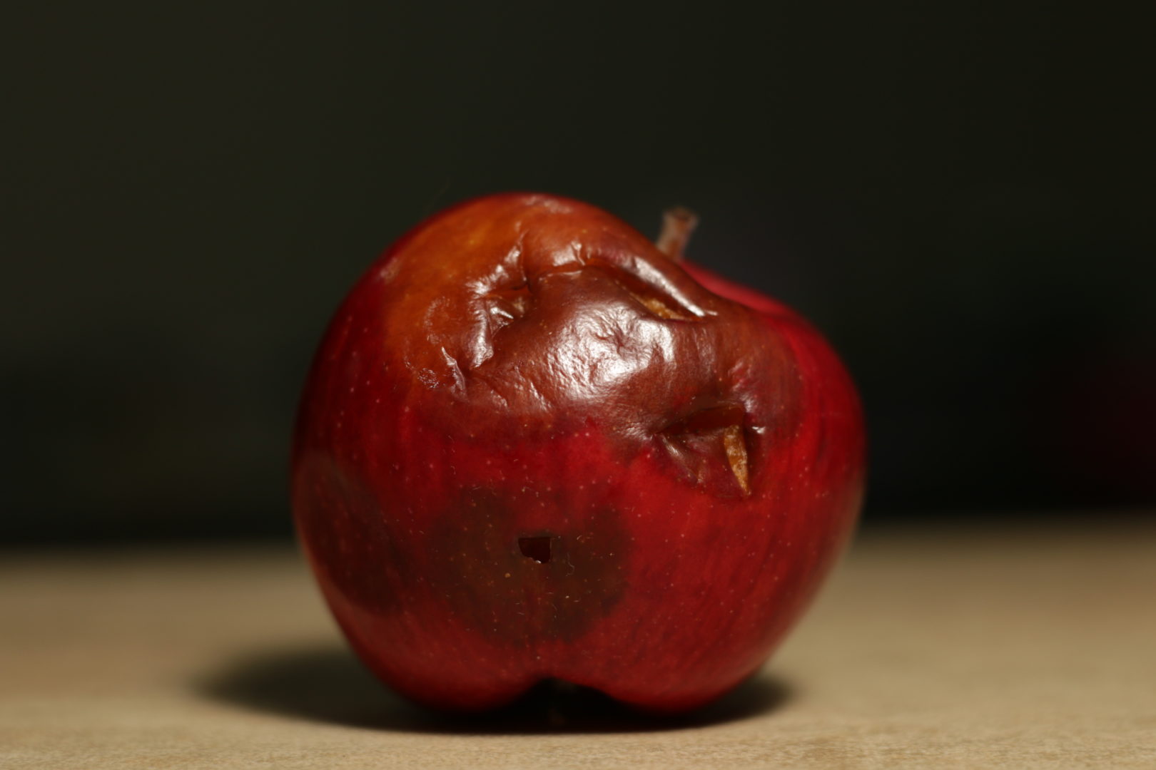 Гнилое яблоко - монилиальная гниль второго типа