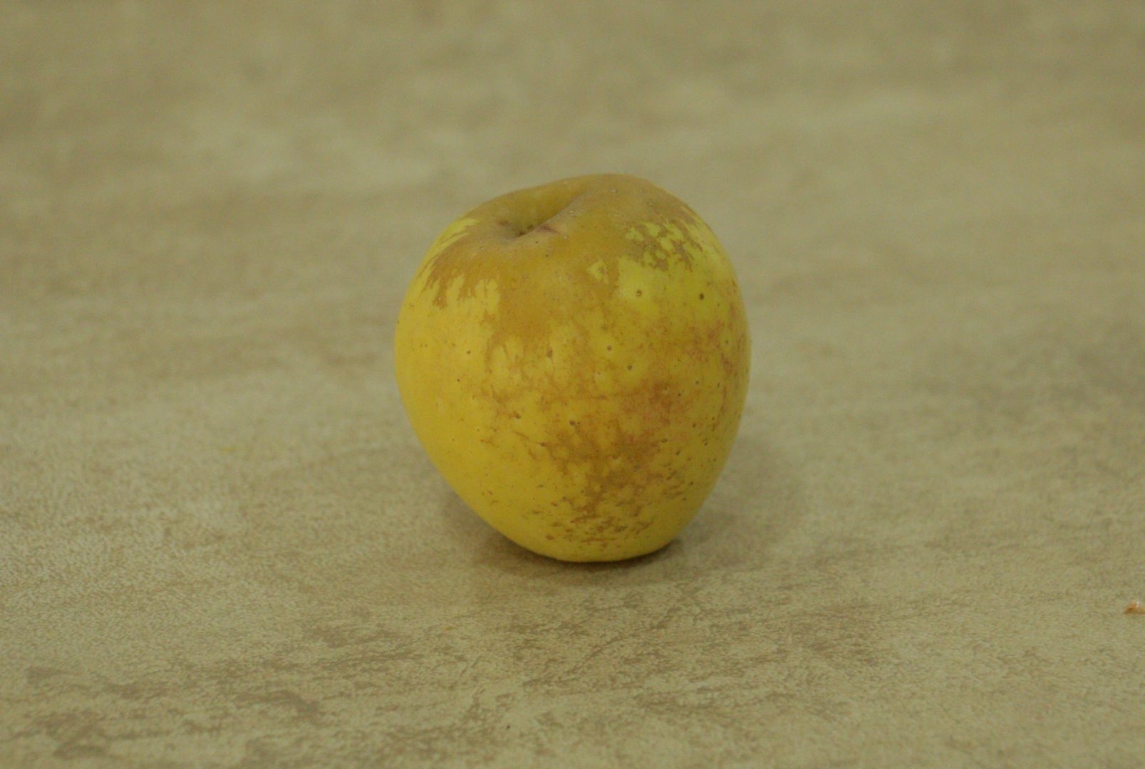 Яблоко покрыто ржавой сеткой - оржавленность, или сетчатость яблока при мучнистой росе