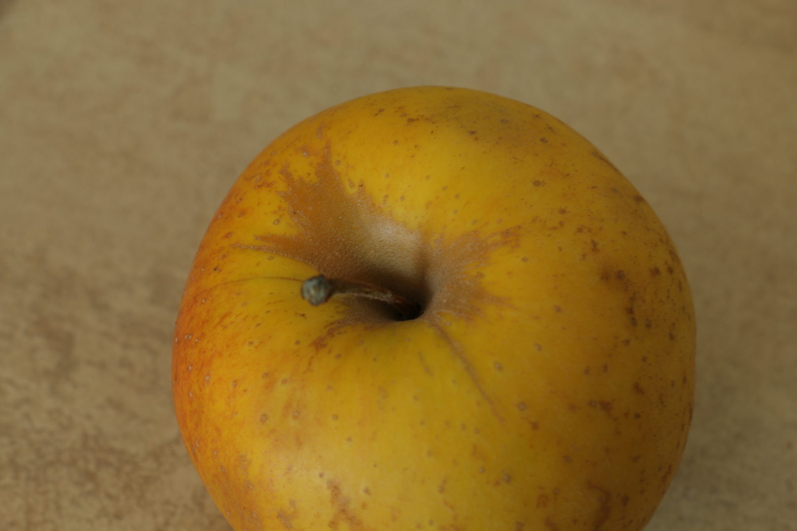 Что за коричневые полоски на яблоках  - сетчатость (оржавленность) плодов яблони