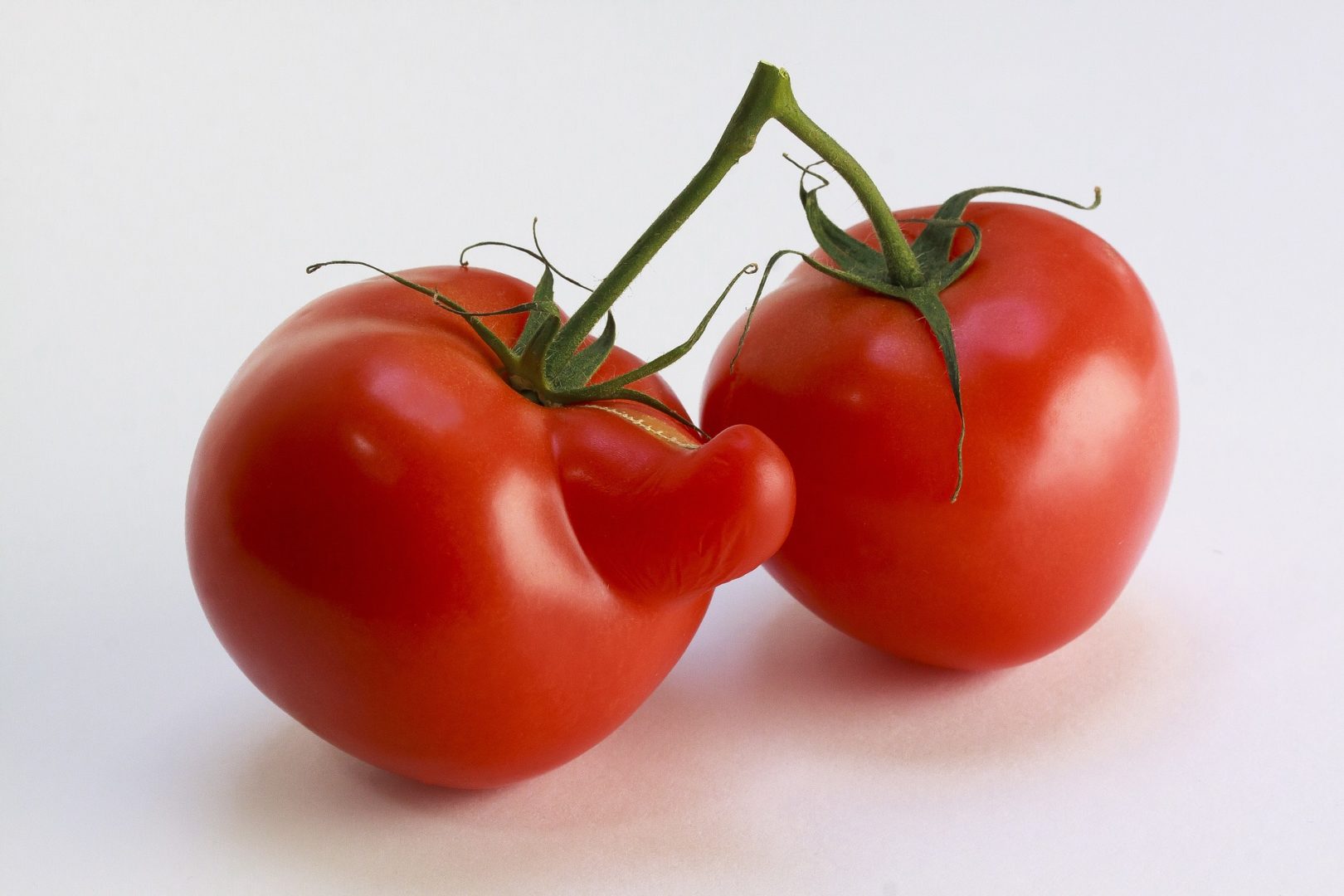 Уродливые помидоры