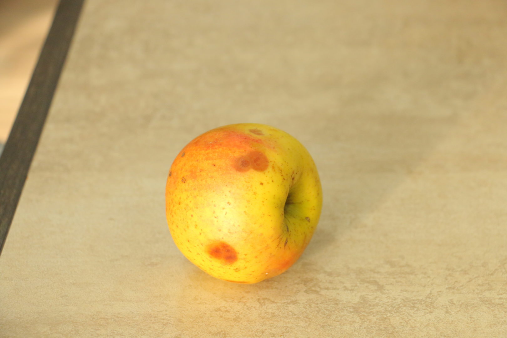 Почему гниют яблоки при хранении?