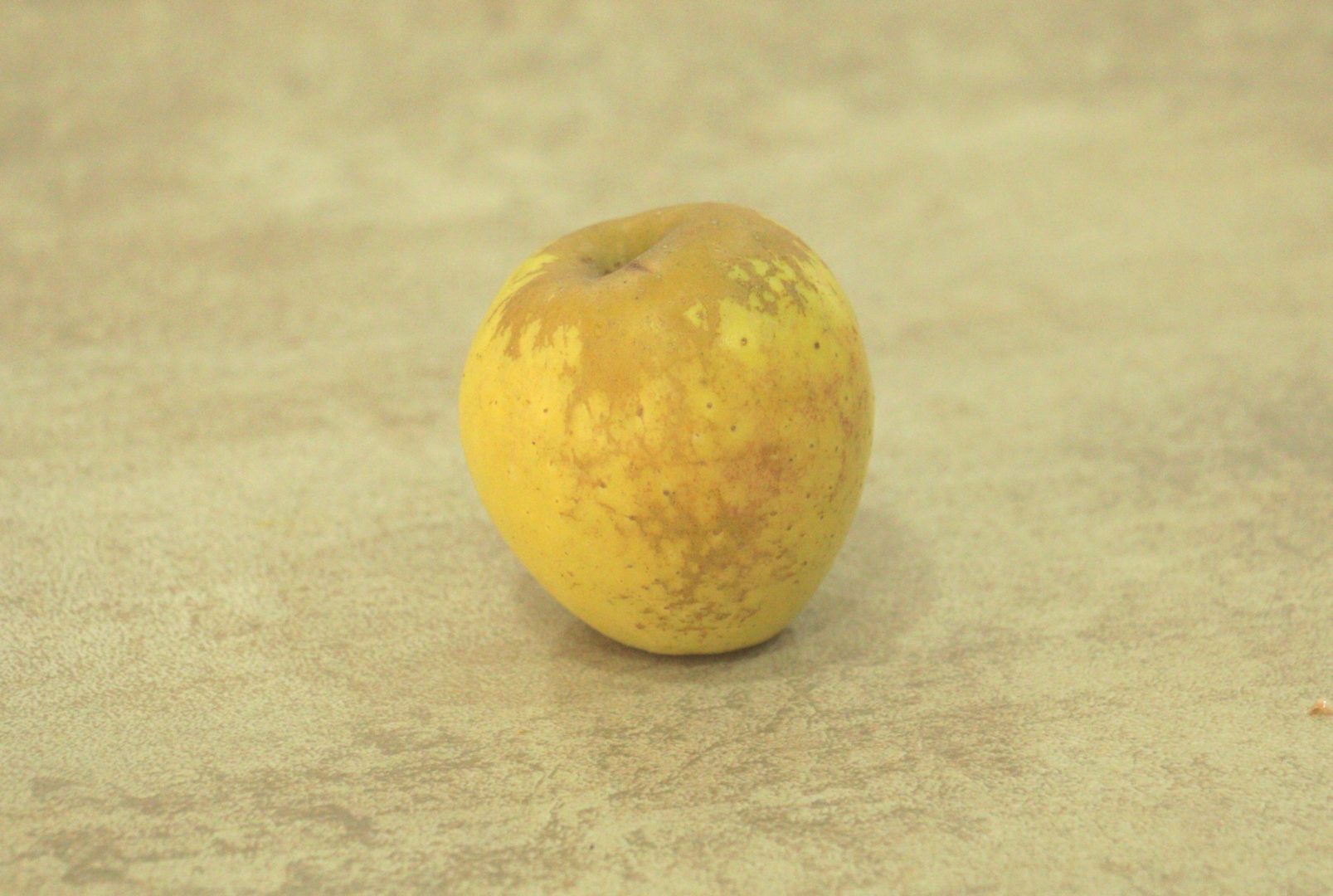 Ржавая сетка на яблоке - последствия мучнистой роср